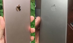 蘋果自曝iPhone 7發(fā)布時(shí)間：這么快！