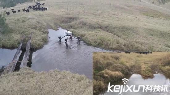 智能機器人農業應用：施肥殺蟲無所不能