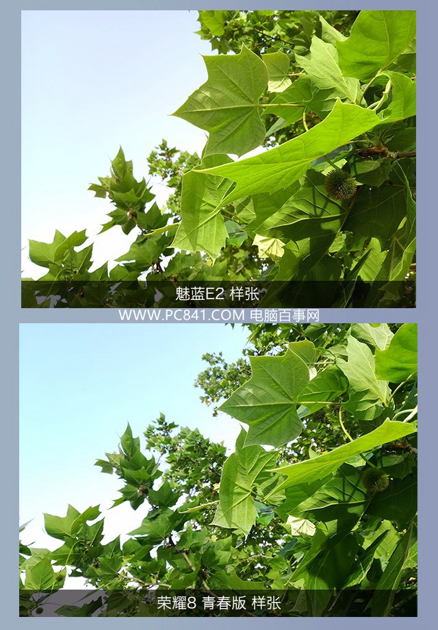 魅藍(lán)E2和榮耀8青春版拍照哪個(gè)好 樣張對(duì)比