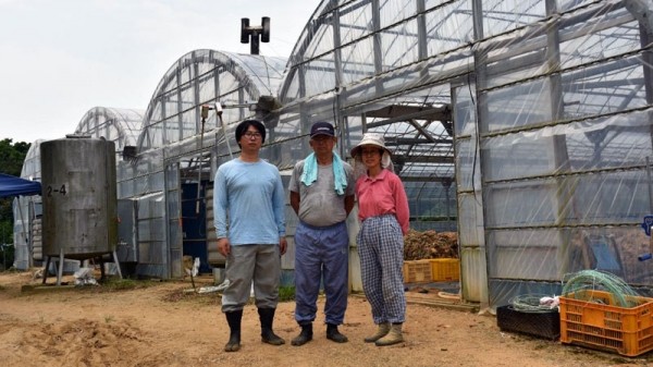 機(jī)器或能替代人類分揀黃瓜 人工智能真的無所不能么？