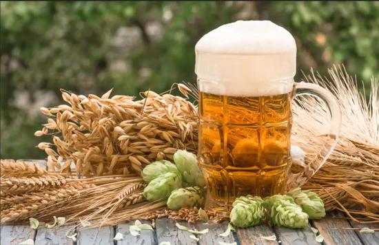 釀造啤酒的原料大麥和啤酒花。圖片來源：圖蟲創(chuàng)意